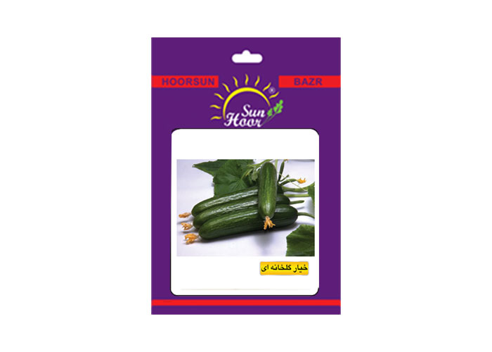 Iran hoorsun green house cucumber seed