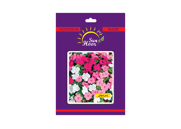 Iran hoorsun vinca rosea flower seed