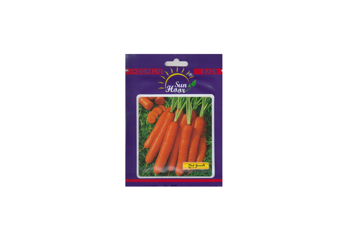 carrot 6