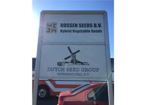 روزن سید هلند