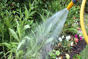 آبیاری باغات