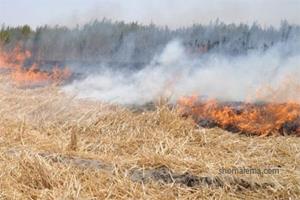 معایب آتش زدن کاه و کلش در مزار