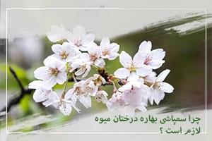 چرا سمپاشی بهاره درختان میوه لازم است ؟