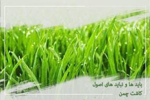 باید ها و نباید های اصول کاشت چمن 