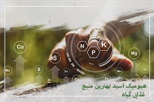 هیومیک اسید بهترین منبع غذایی گیاه