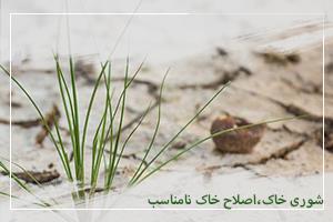 شوری خاک،اصلاح خاک نامناسب