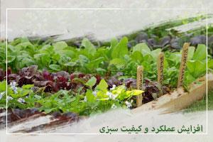 افزایش عملکرد و کیفیت سبزی
