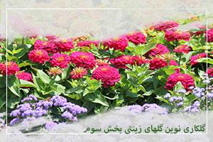 گلکاری نوین گلهای زینتی بخش سوم