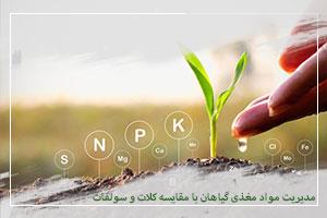 مدیریت مواد مغذی گیاهان با مقایسه کلات و سولفات