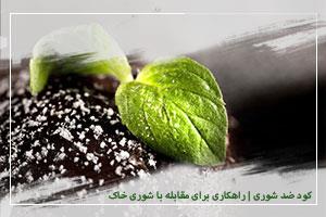 کود ضد شوری | راهکاری برای مقابله با شوری خاک و افزایش عملکرد محصولات