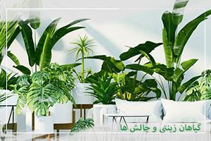 گیاهان زینتی و چالش‌ها، بخش اول؛ تنش دمایی