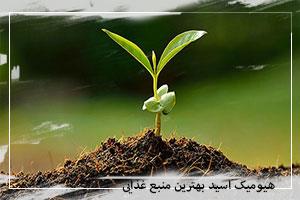 هیومیک اسید بهترین منبع غذایی گیاه