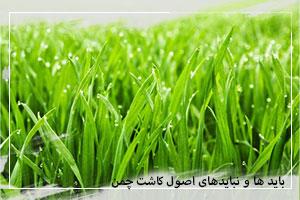 باید ها و نباید های اصول کاشت چمن 