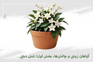 گیاهان زینتی و چالش‌ها، بخش اول؛ تنش دمایی