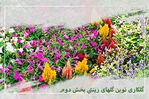 گلکاری نوین گلهای زینتی بخش دوم