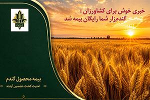 بیمه رایگان گندم زارهای ایران