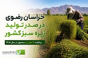 خراسان رضوی در صدر تولید زیره سبز کشور | پیش‌بینی برداشت ۱۶ هزار تن در سال ۱۴۰۵