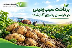 برداشت سیب‌زمینی در خراسان رضوی آغاز شد؛ پیش‌بینی تولید ۱۲۰ هزار تن