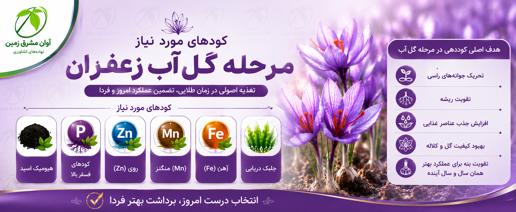 کلیک کنید