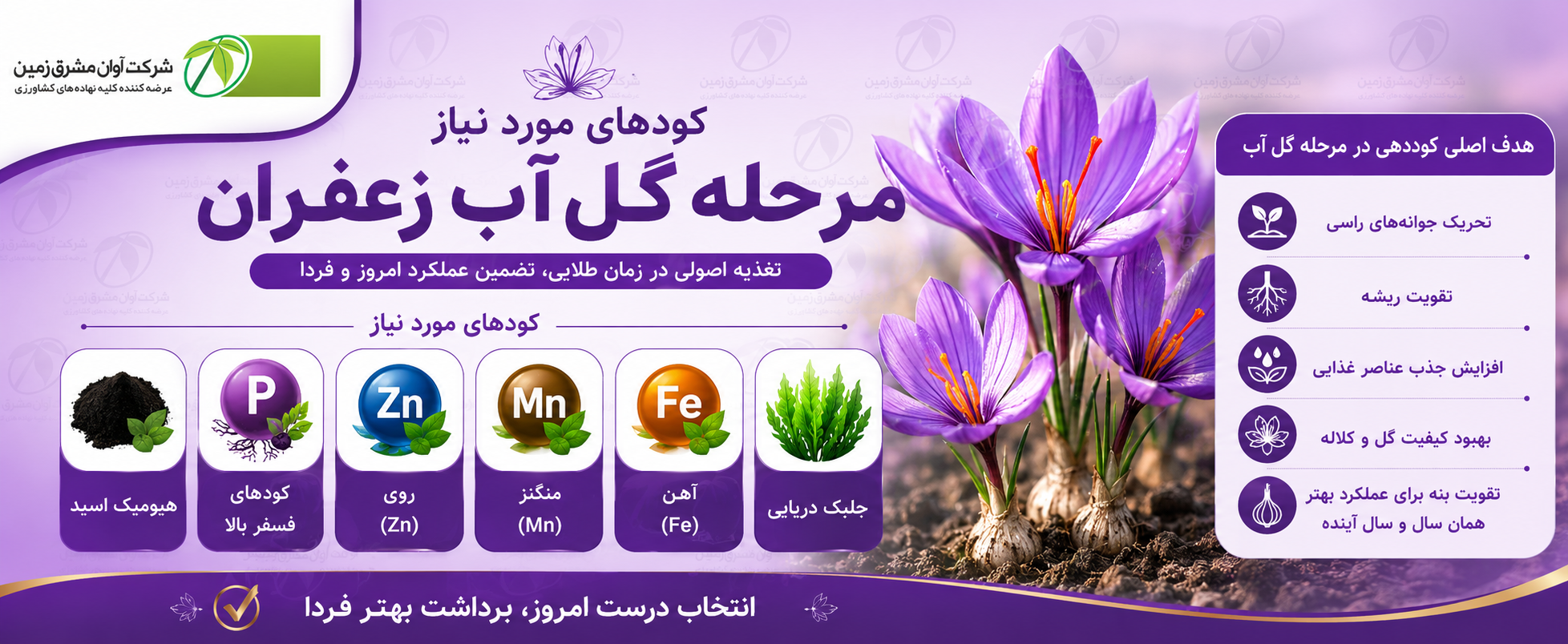 کلیک کنید
