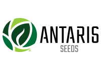 آنتاریس اسپانیا