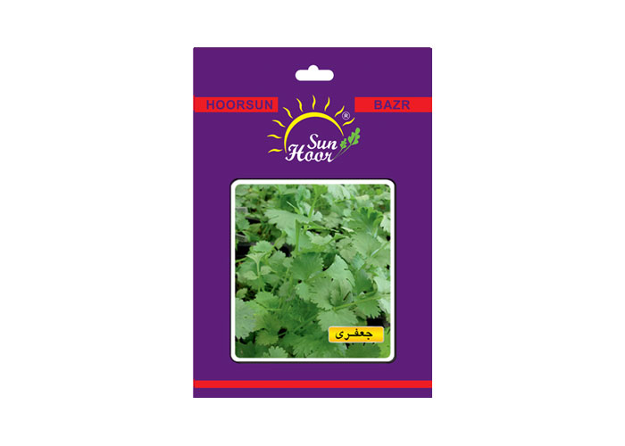 Iran hoorsun parsley seed