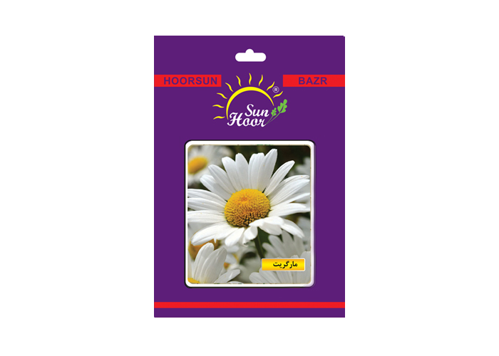 Iran hoorsun chrysanthemumflower seed