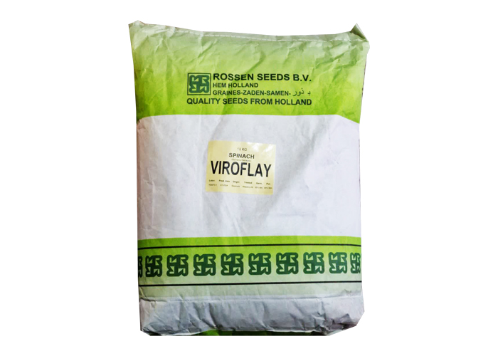 Holland rossen seed virofly spinach seed