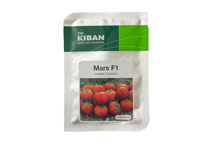  kiban Mars F1 hybride
