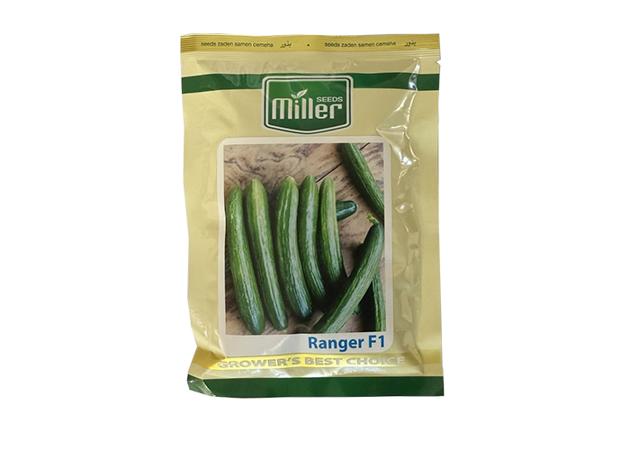 Thailand Ranger F1 Miller cucumber seed
