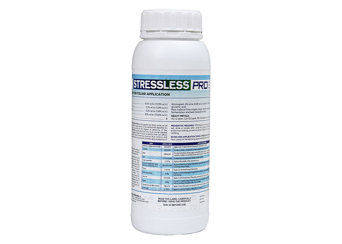 Spain masso stressless pro
