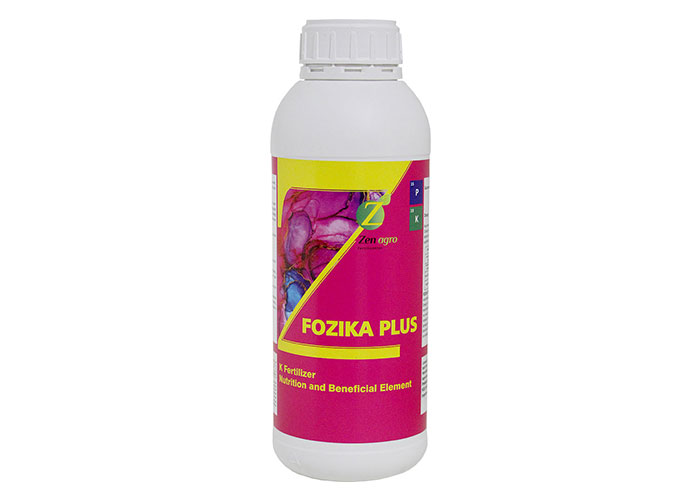 Fozika