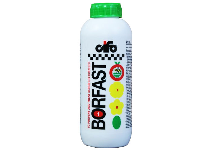 borfast