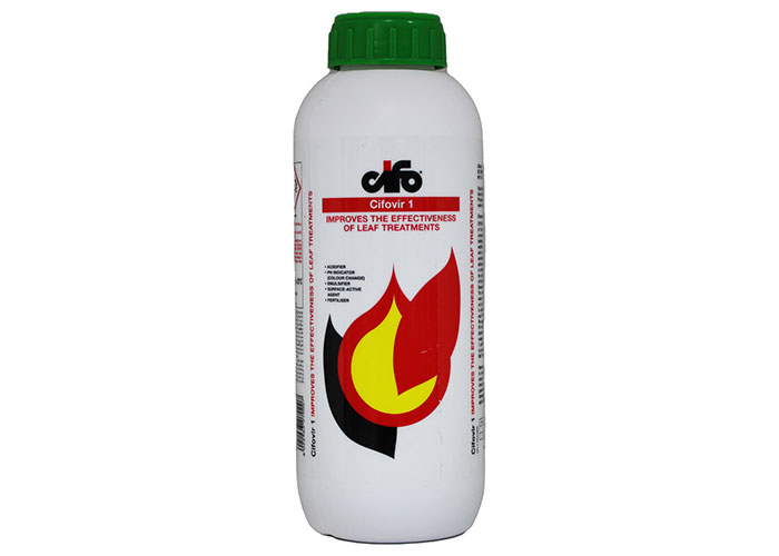 cifo vier