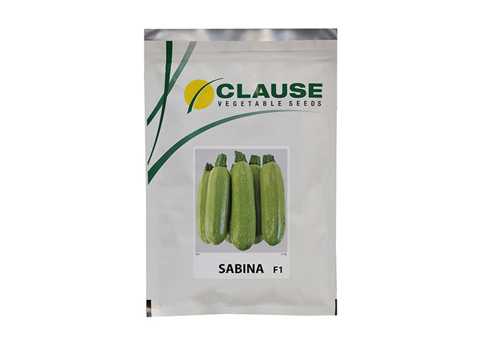 squash