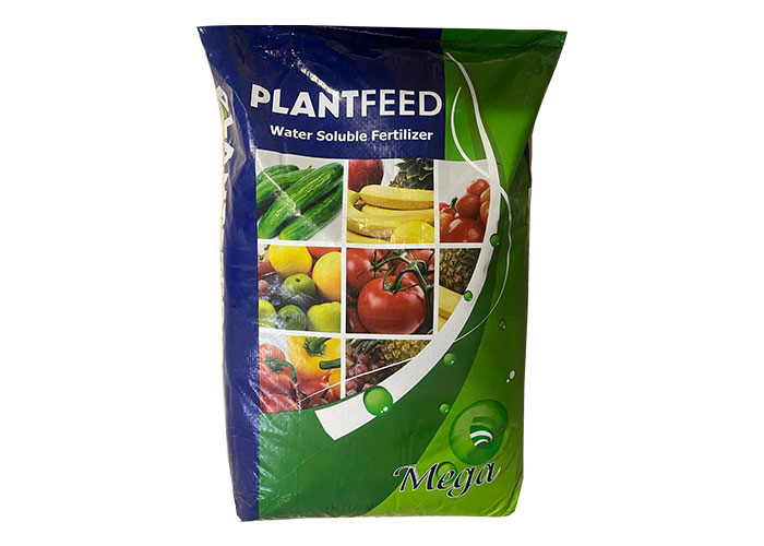 plant fid