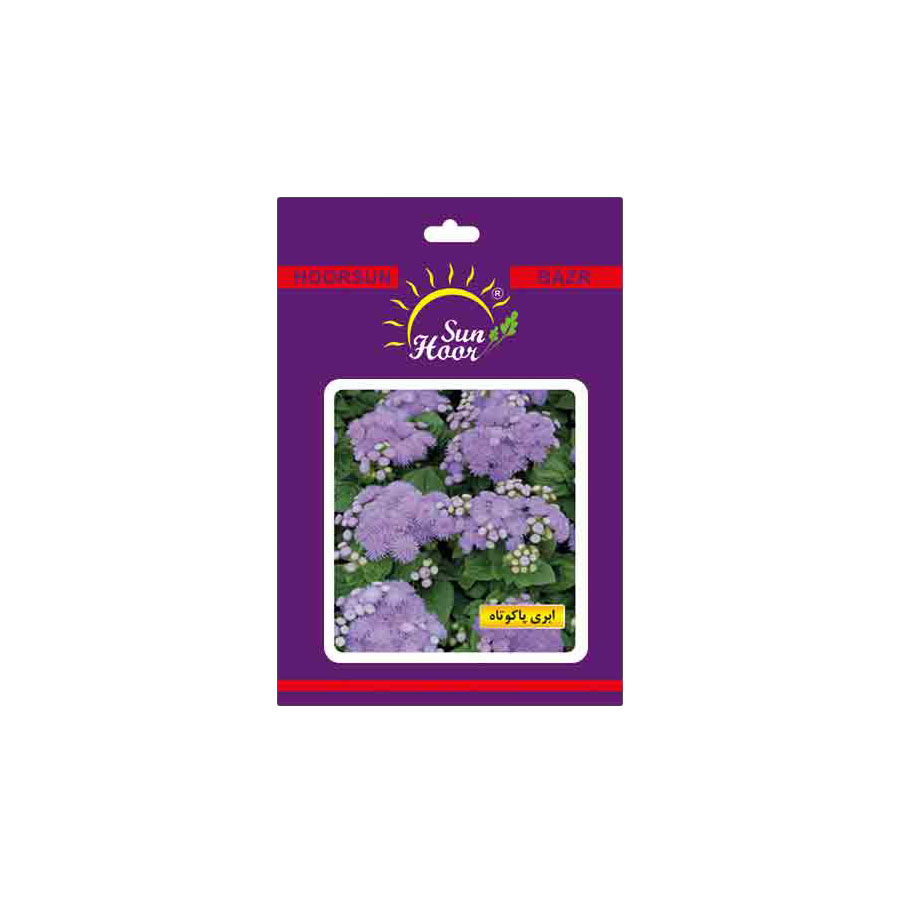 Iran Hoorsun ageratum houstonianum flower