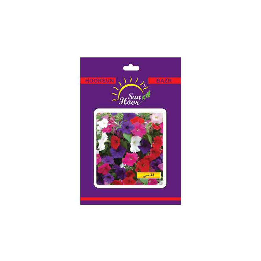 Iran Hoorsun petunia flower seeds