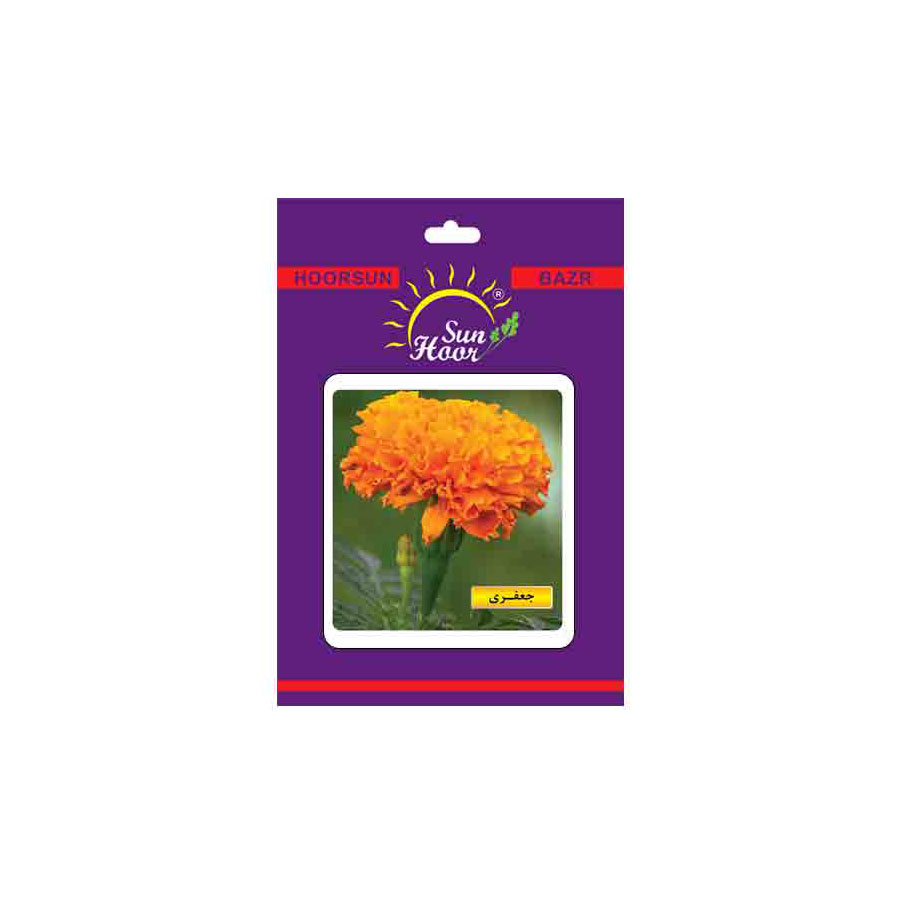 Iran Hoorsun tagetes erecta flower seeds