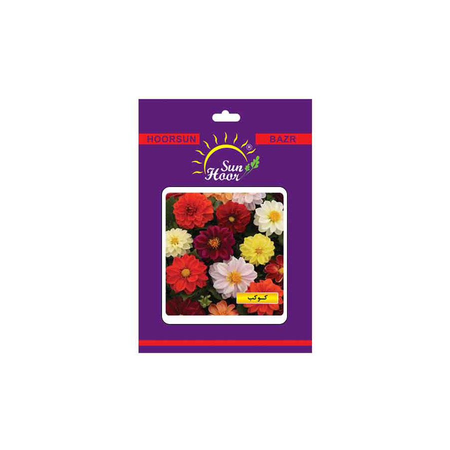Iran Hoorsun dahlia mix flower seeds