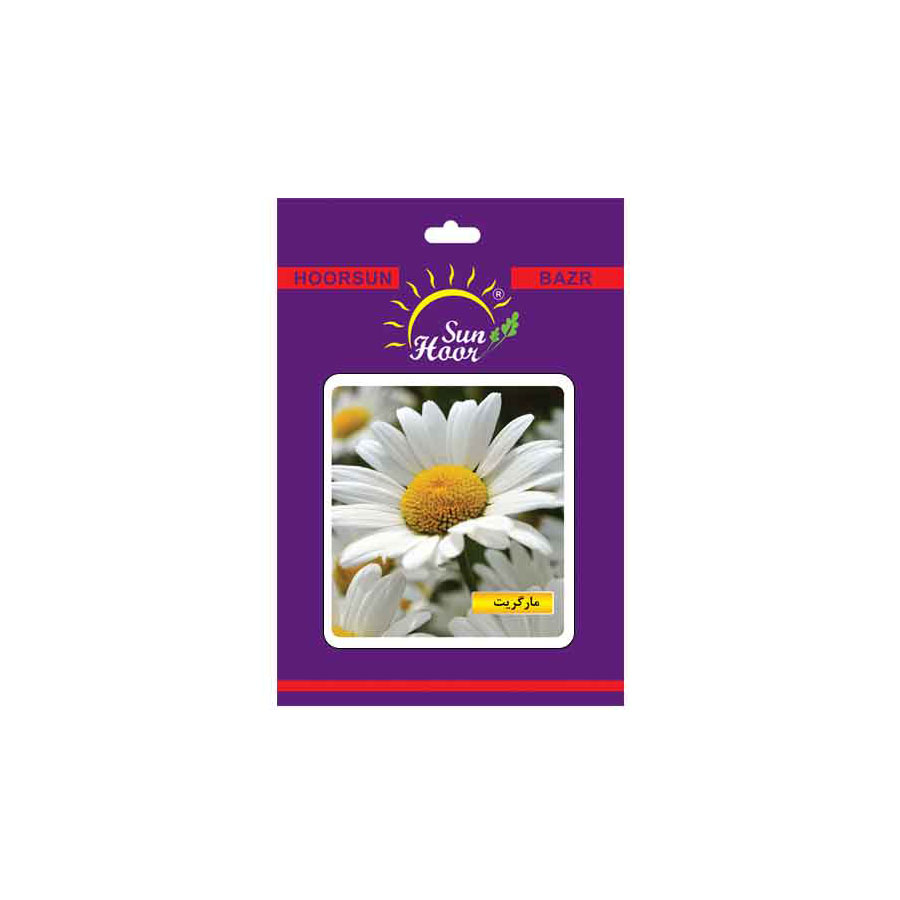 Iran Hoorsun chrysanthemum flower seeds