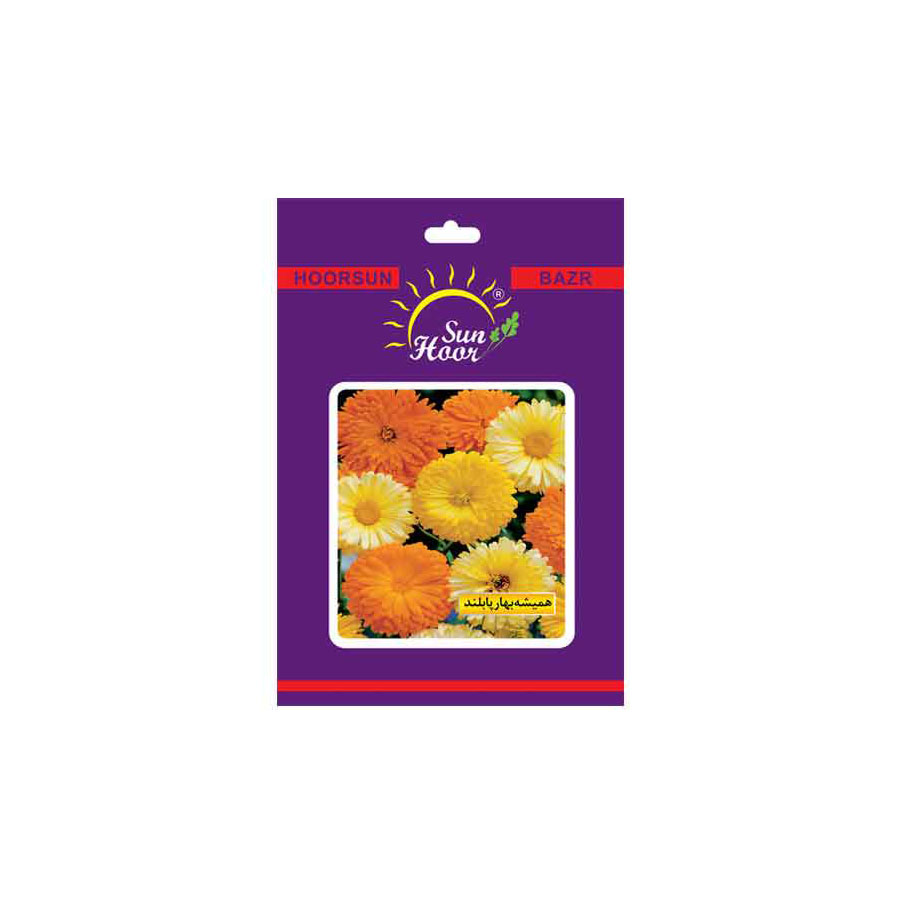 Iran Hoorsun calendula officinalis flower seed