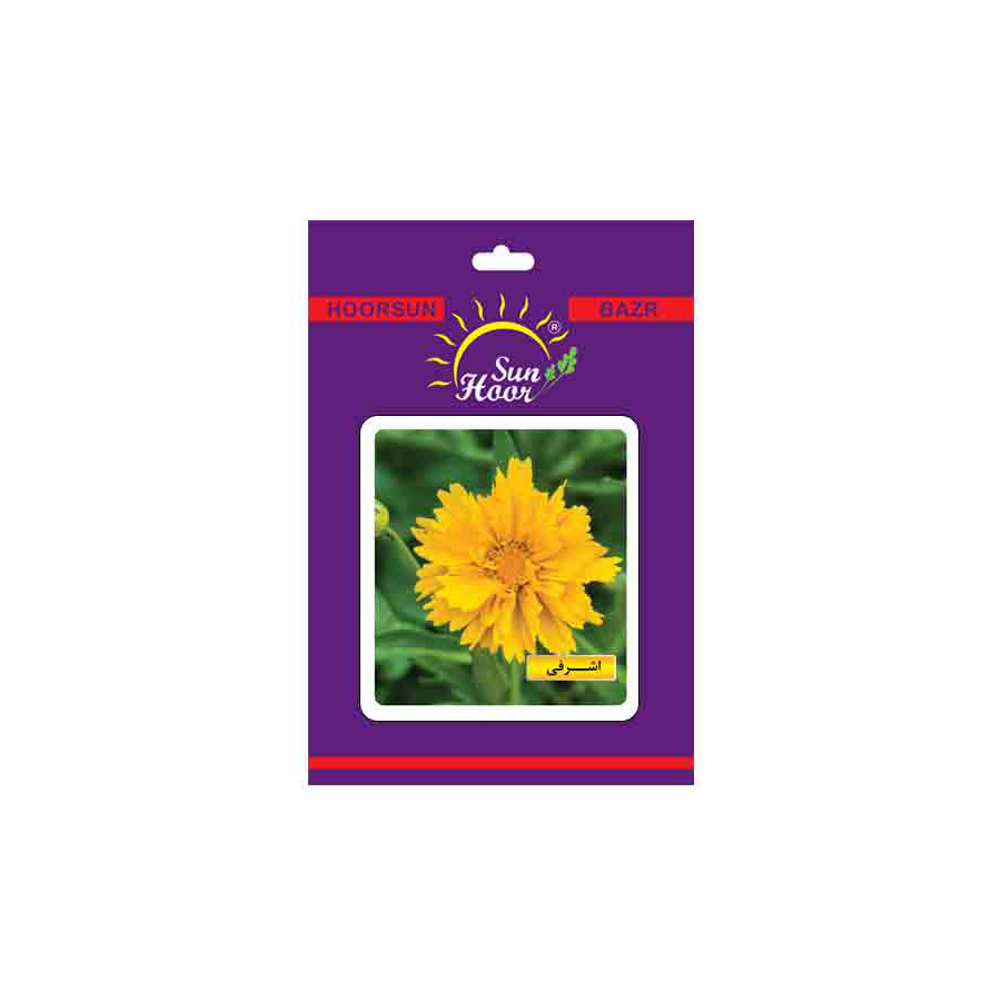 Iran Hoorsun coreopsis flower seeds