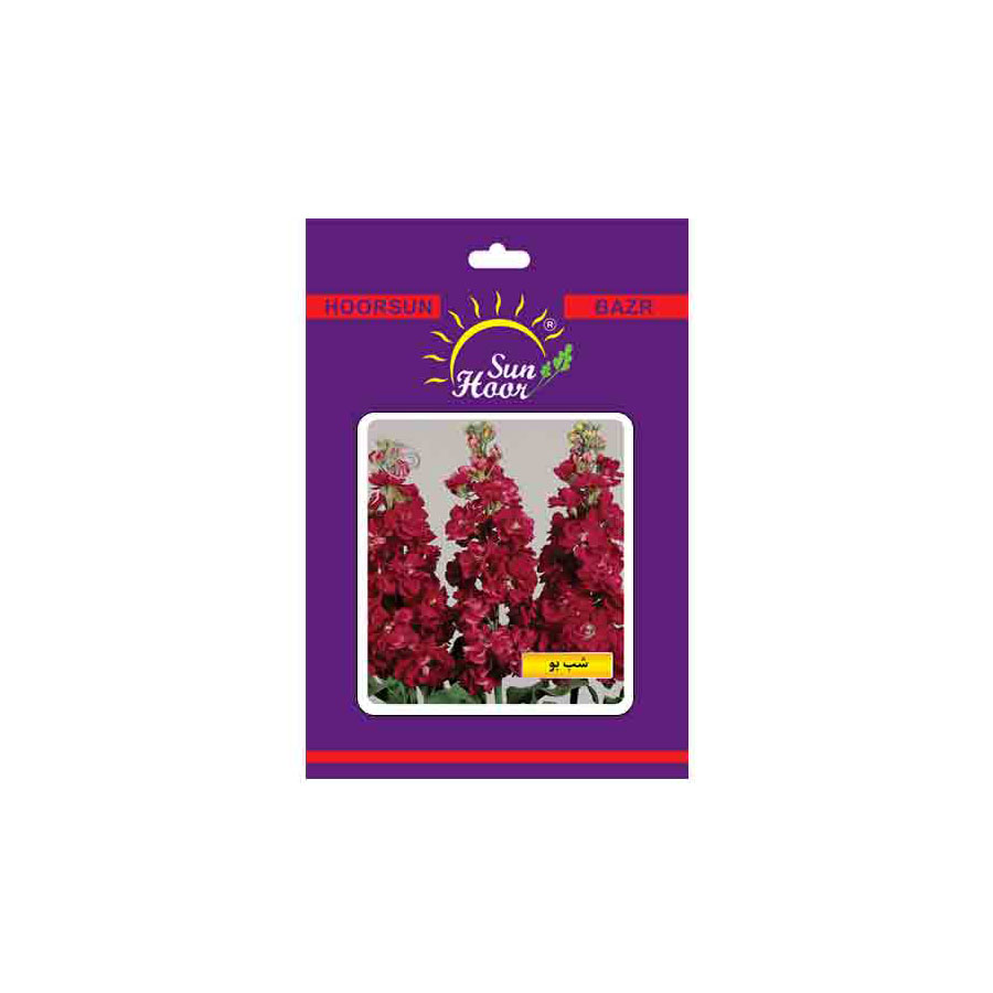 Iran Hoorsun matthiola incana flower seeds