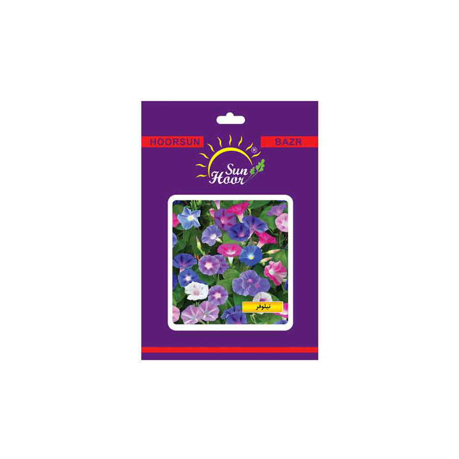 Iran Hoorsun ipomoea flower seeds