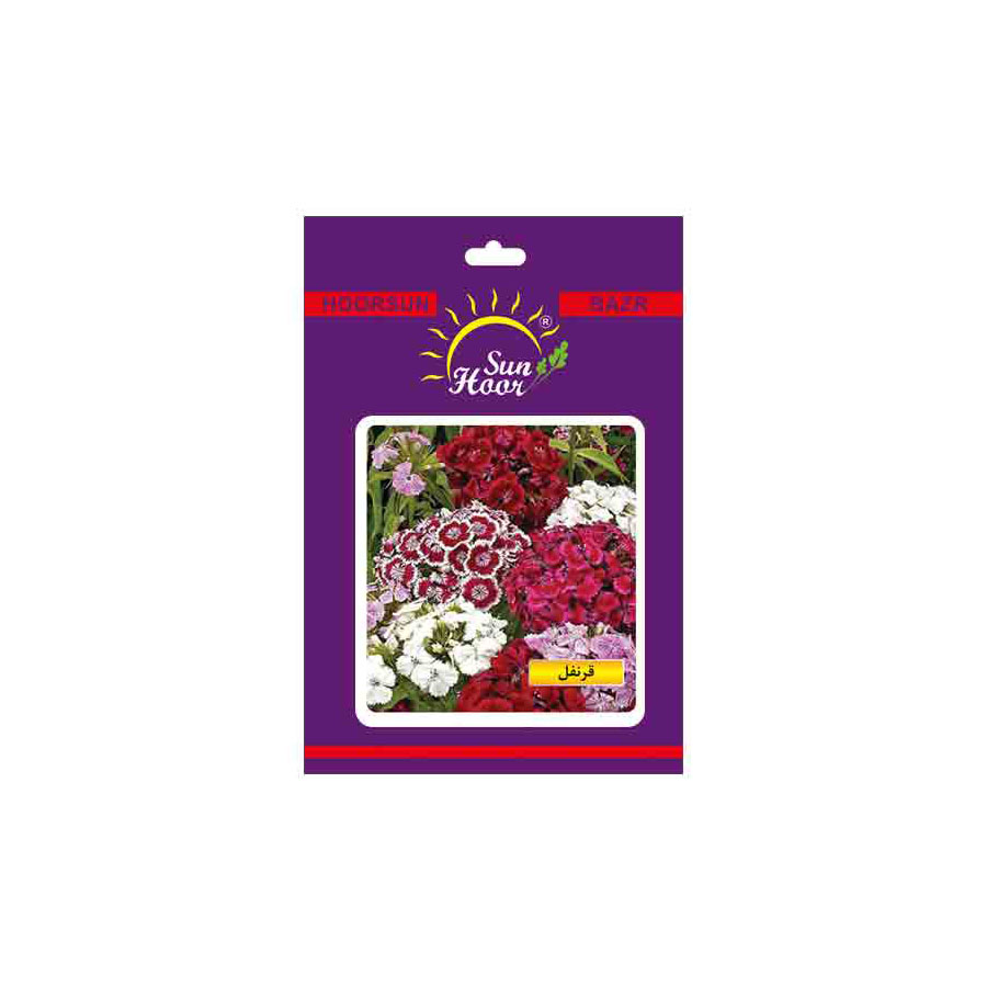 Iran Hoorsun dianthus barbatus flower seeds