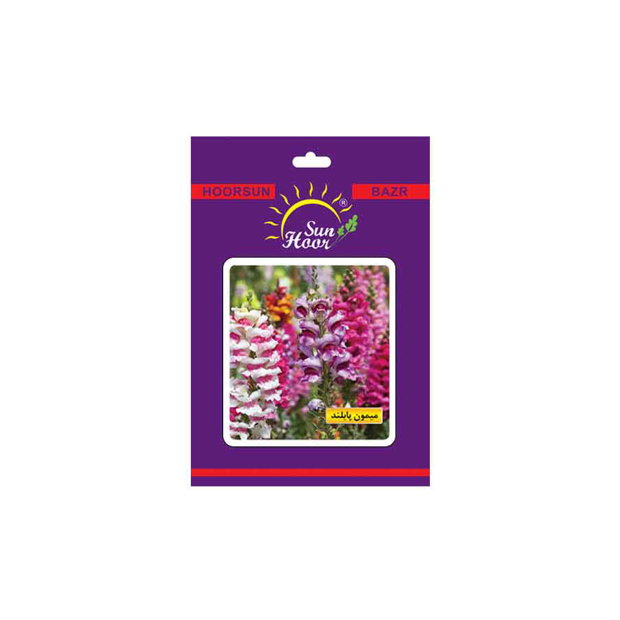  Hoorsun antirrhinum majus mix flower seeds