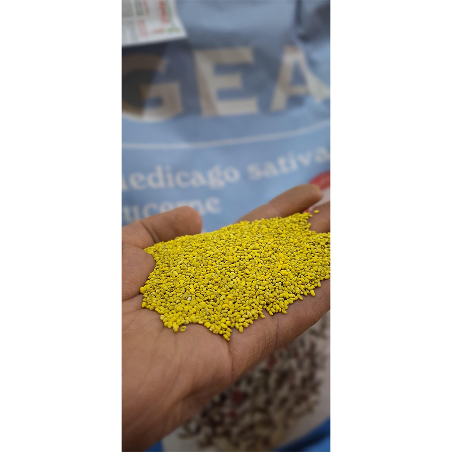 یونجه جئا