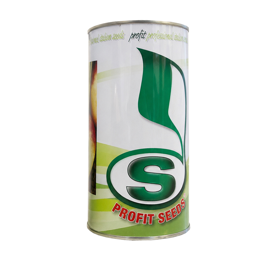 شلغم پروفیت سید