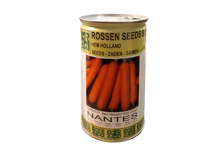 carrot 12
